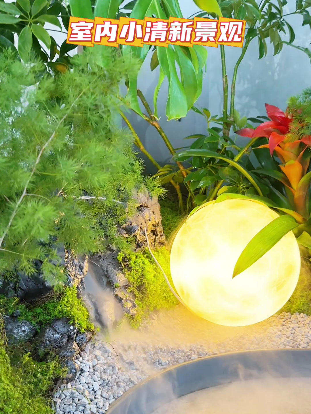 室内小清新景观,植物真的会使人心情美丽~