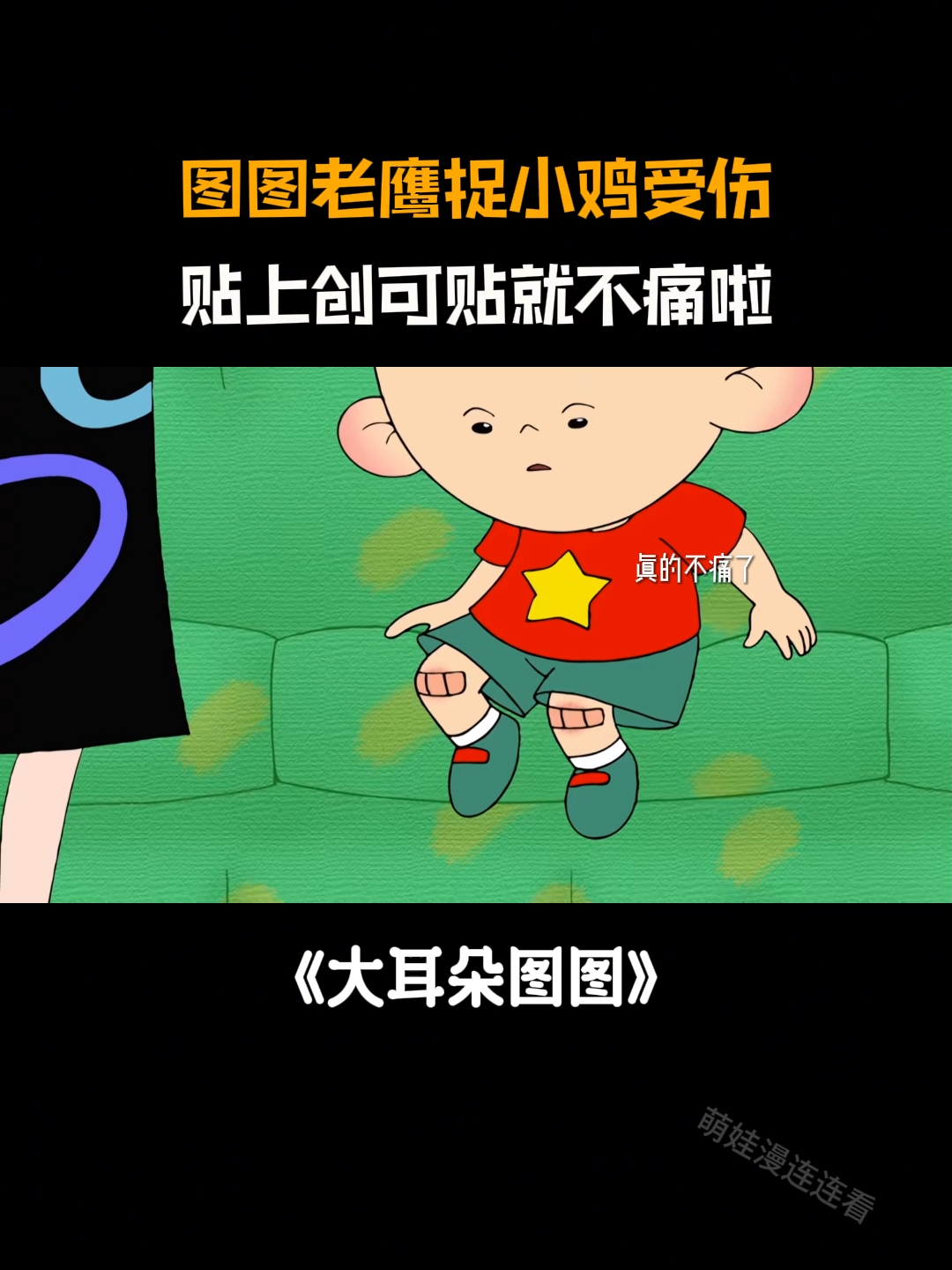 大耳朵图图:图图老鹰捉小鸡受伤,贴上创可贴不痛啦