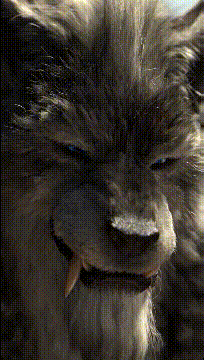 帣ͼƷϵ ѩʱаʺ