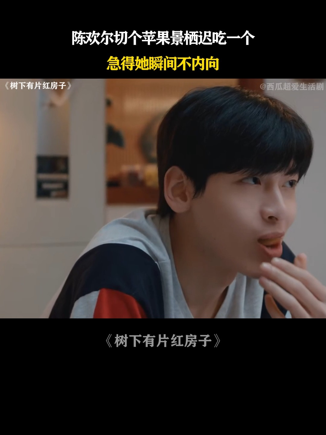 树下有片红房子:陈欢尔切个苹果景栖迟吃一个,急得她瞬间不内向