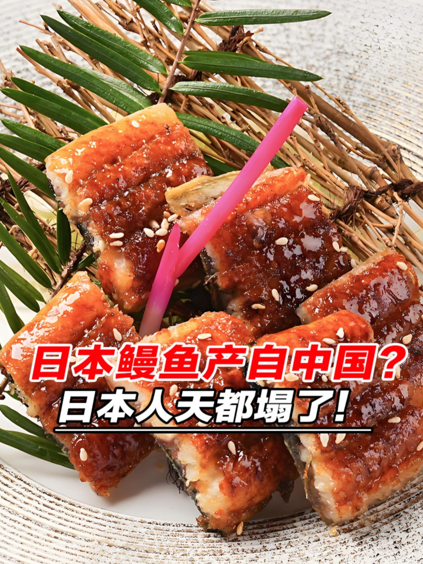 日本人天塌了,他们一直引以为傲的鳗鱼,其实都产自中国?