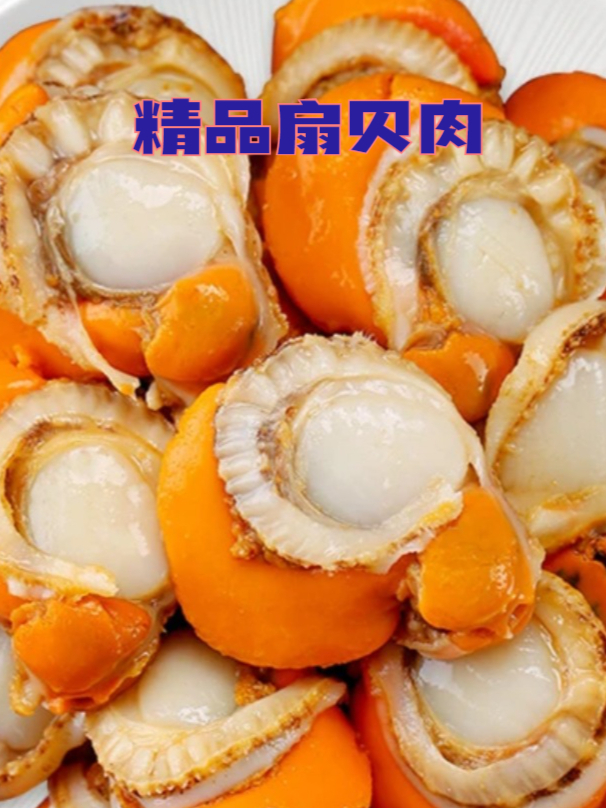 扇贝肉的美味秘籍,赶紧收藏