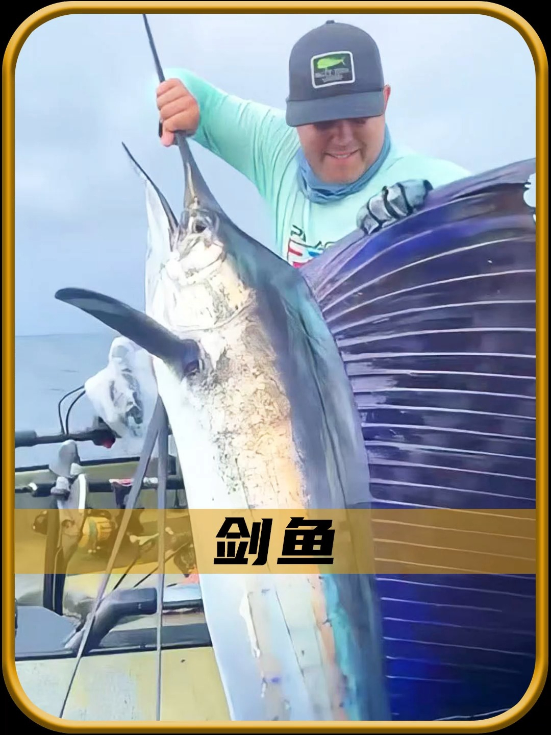 世界上最危险的鱼“剑鱼”!