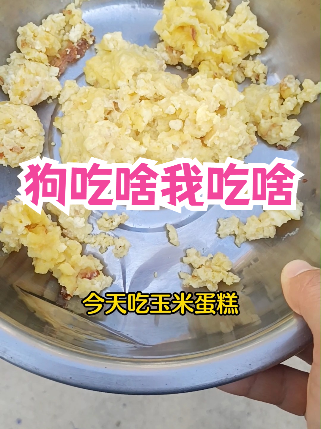 自制狗粮——玉米蛋糕