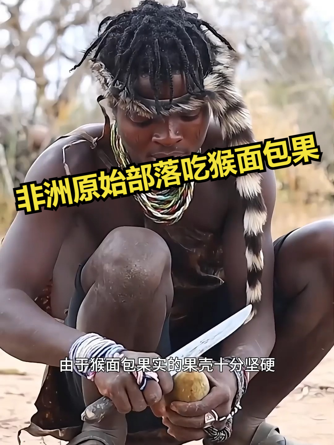 非洲原始部落吃猴面包果