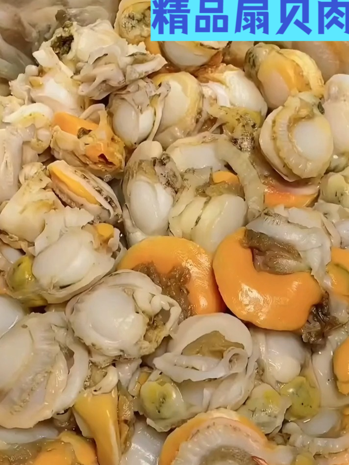 爆汁扇贝肉,每口都是大海馈赠的鲜香炸弹