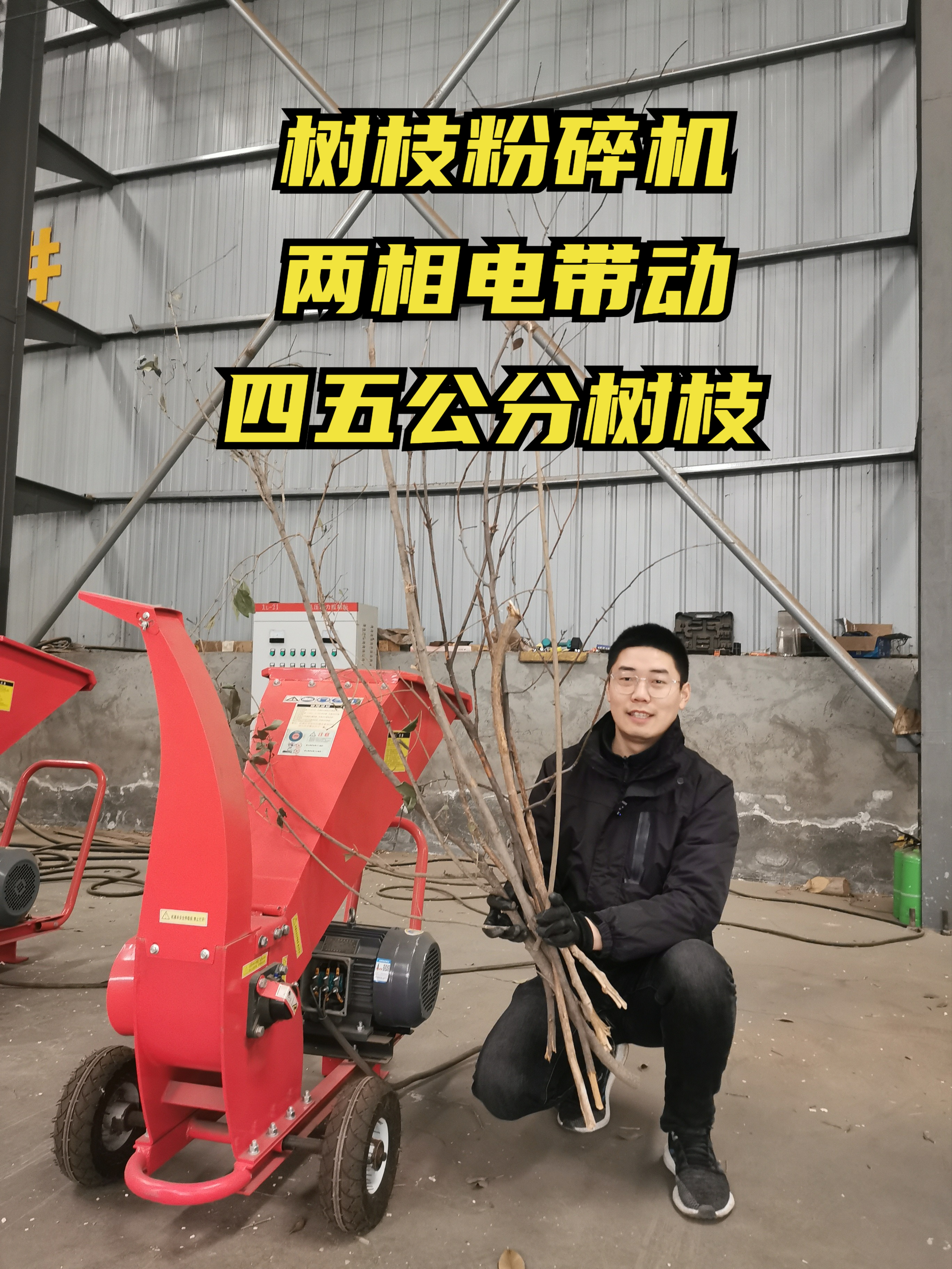 小型树枝粉碎机,两相电电动机,移动轮子,投资低,性价比高
