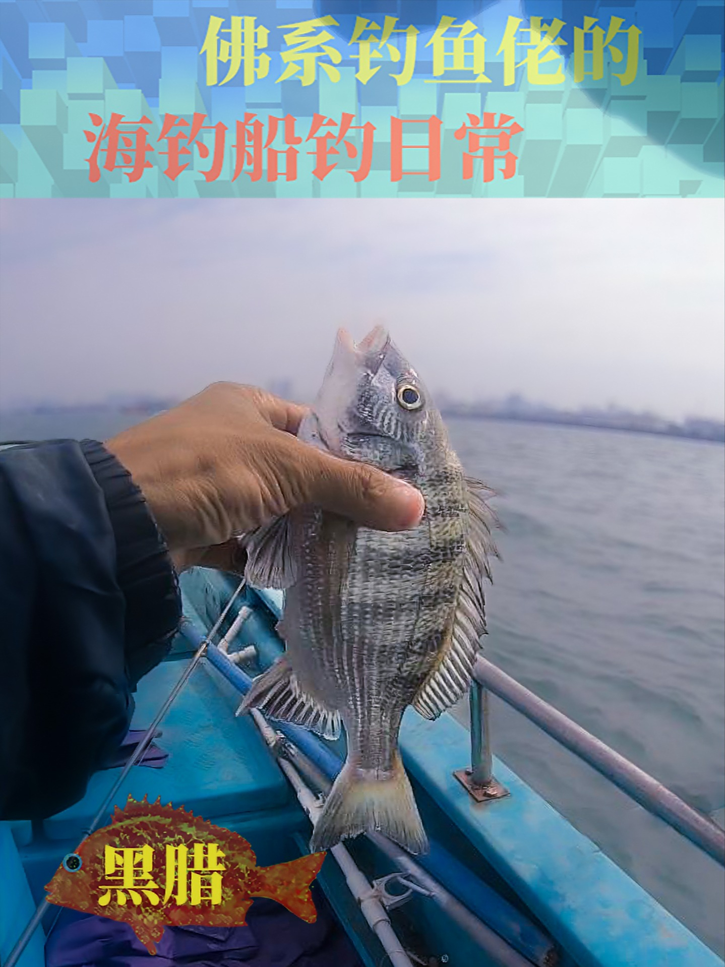 北海外沙港口外钓黑腊 黑鲷