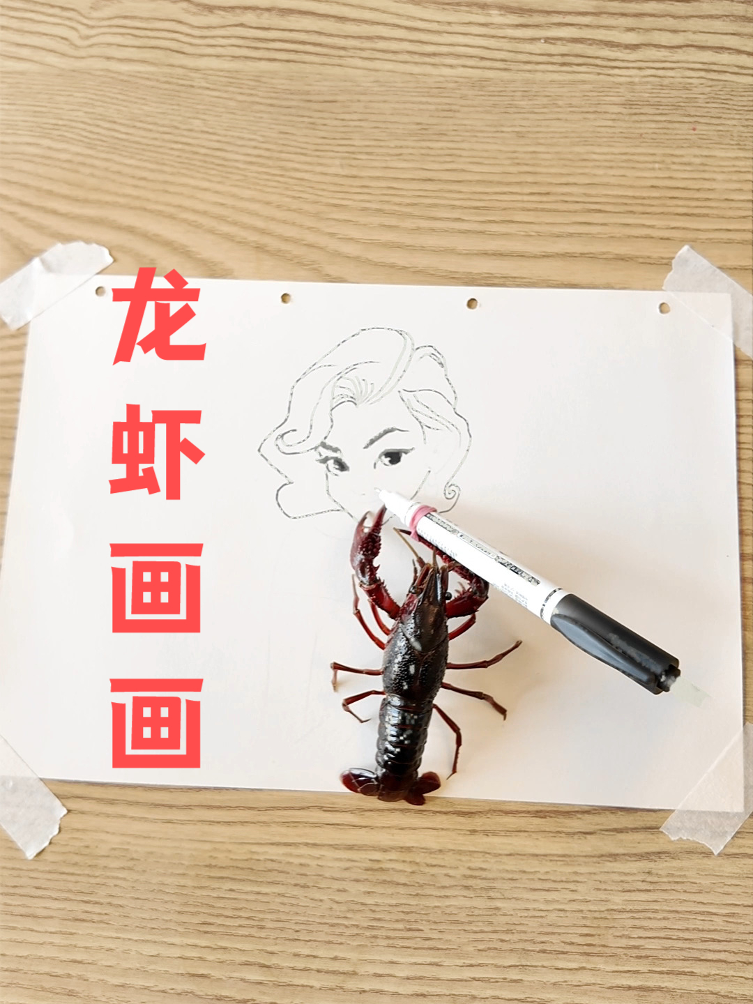 好家伙!一个龙虾画画都比我强!