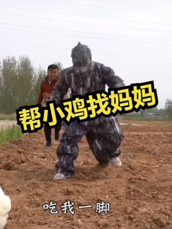 帮小鸡找妈妈!