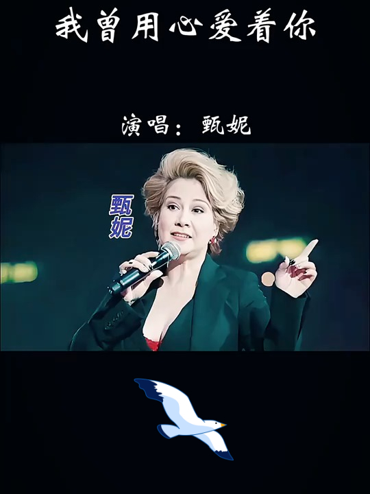 甄妮《我曾用心爱着你》