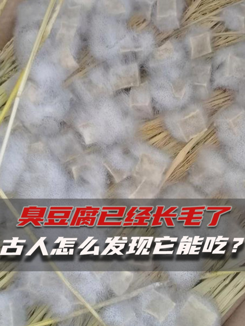 臭豆腐已经长毛了,古人怎么发现它能吃?真相令人心酸不已
