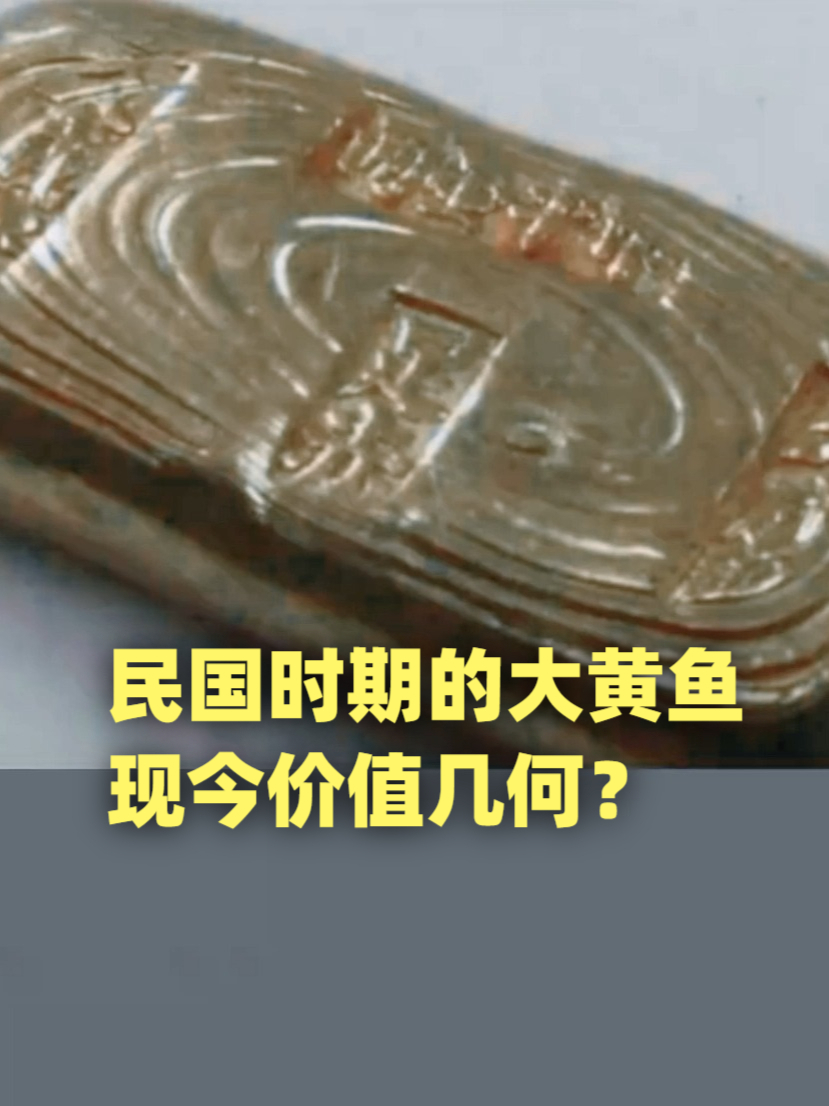 民国时期的大黄鱼,现今价值几何?