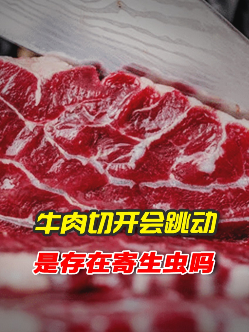 牛肉被切开以后,竟然会“跳舞”,难道有寄生虫?涨知识了