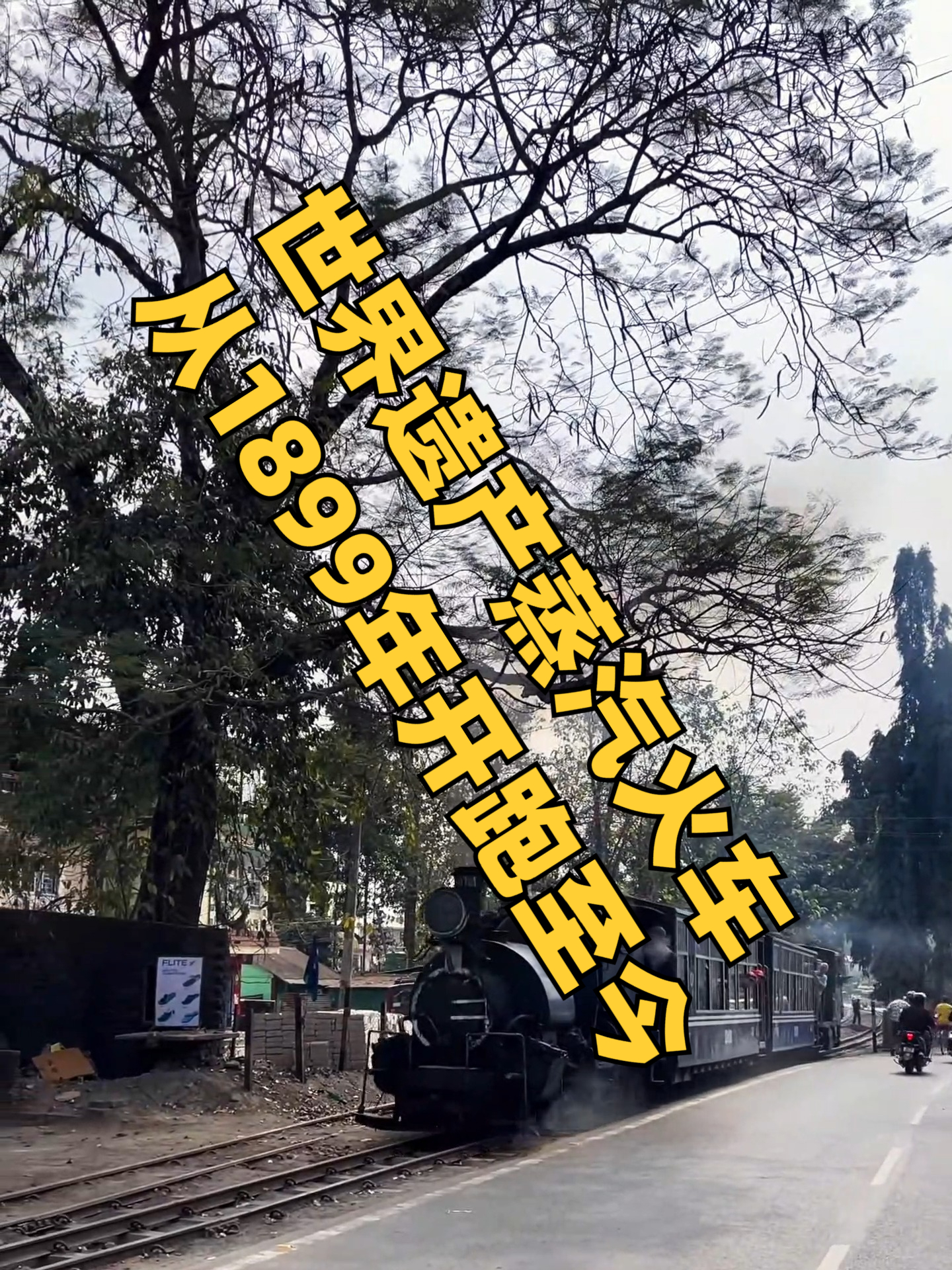驶向天际的绿意:世界遗产蒸汽火车的山林私语