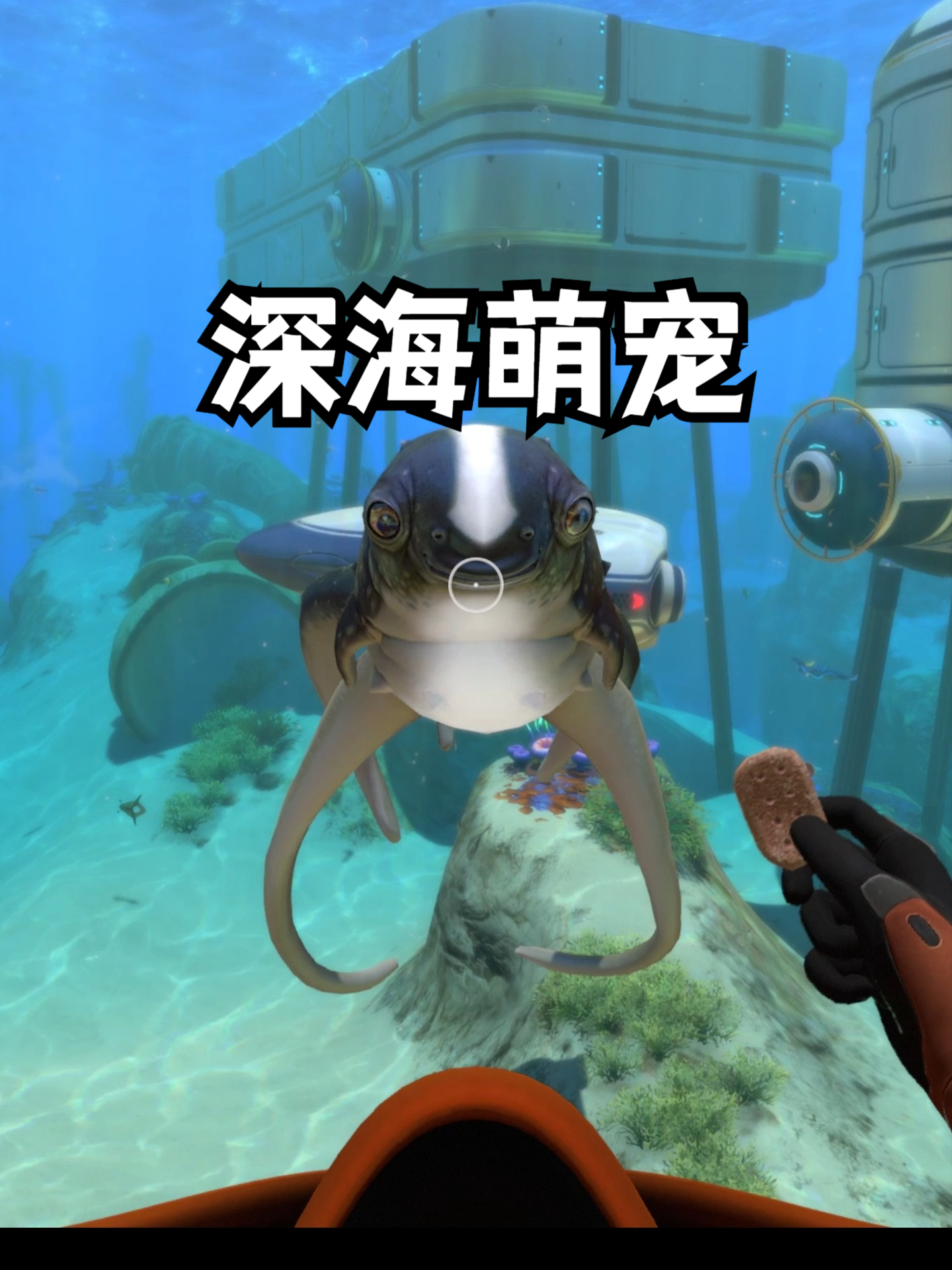 抱抱鱼v远古龙幼崽