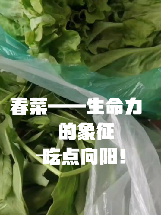 这些春菜,别不爱吃,养肝又调节人体阴阳平衡!