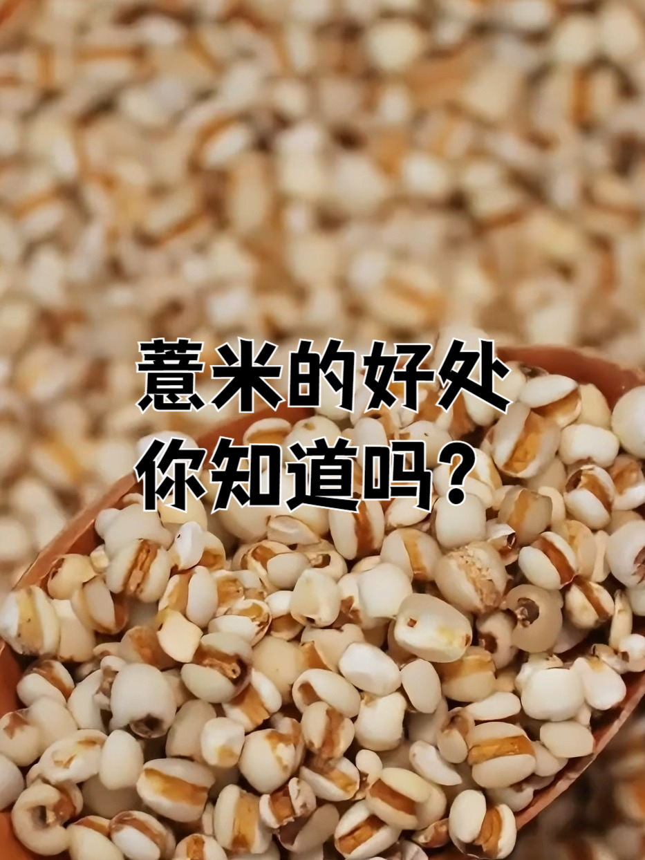 不要再吃普普通通的大米了!换成薏米,好处多
