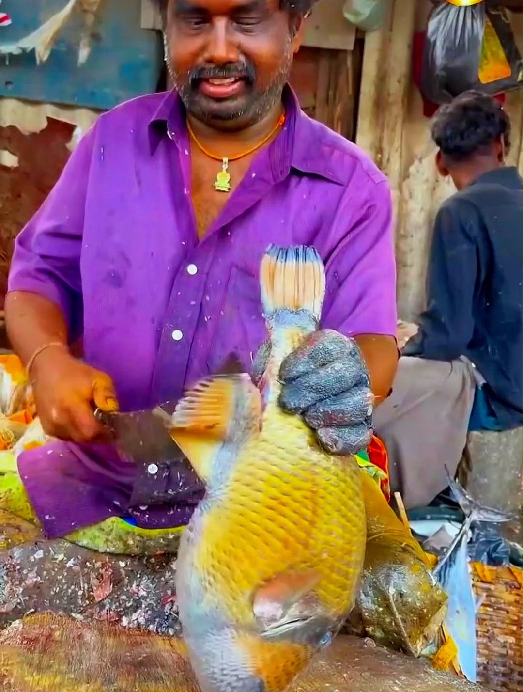 你知道这是什么鱼吗?看印度人都是如何花式处理鱼的,真不可思议