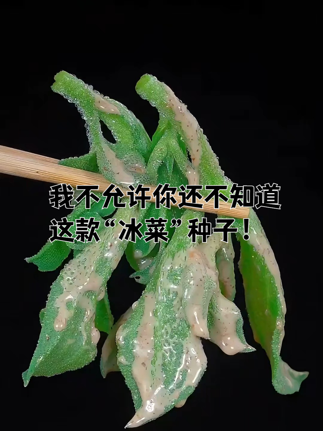 老张的种菜经:冰菜种子,不挑土壤,种出蔬菜,全家都爱吃!