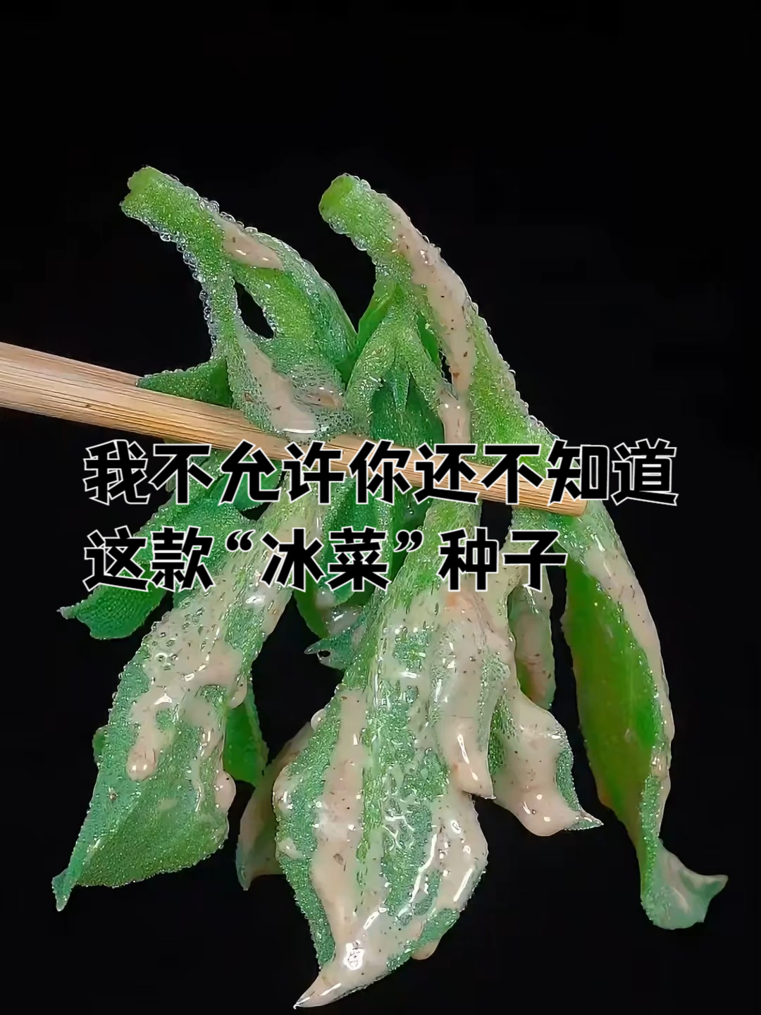 老邻居们都种了,冰菜种子,天然富钾,你也来试试?