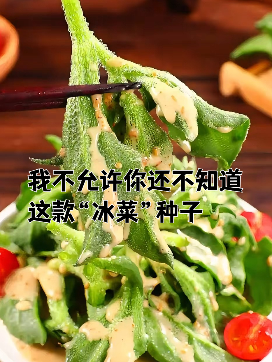 冰菜种子,种出“会冒水珠”的菜,解暑降火,夏天必备!