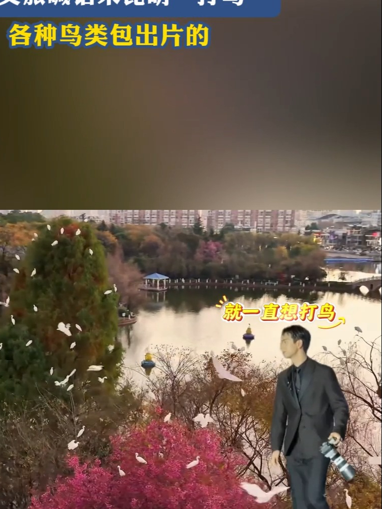 李现晒“打鸟”被点名,昆山文旅喊话来昆明打鸟,各种鸟类包出片