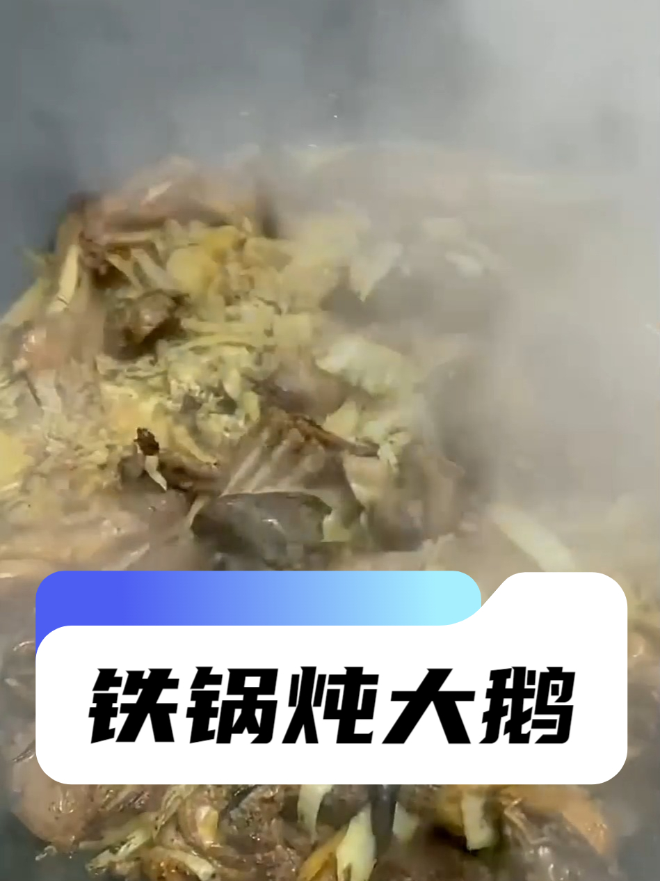落雪似银河,铁锅炖大鹅