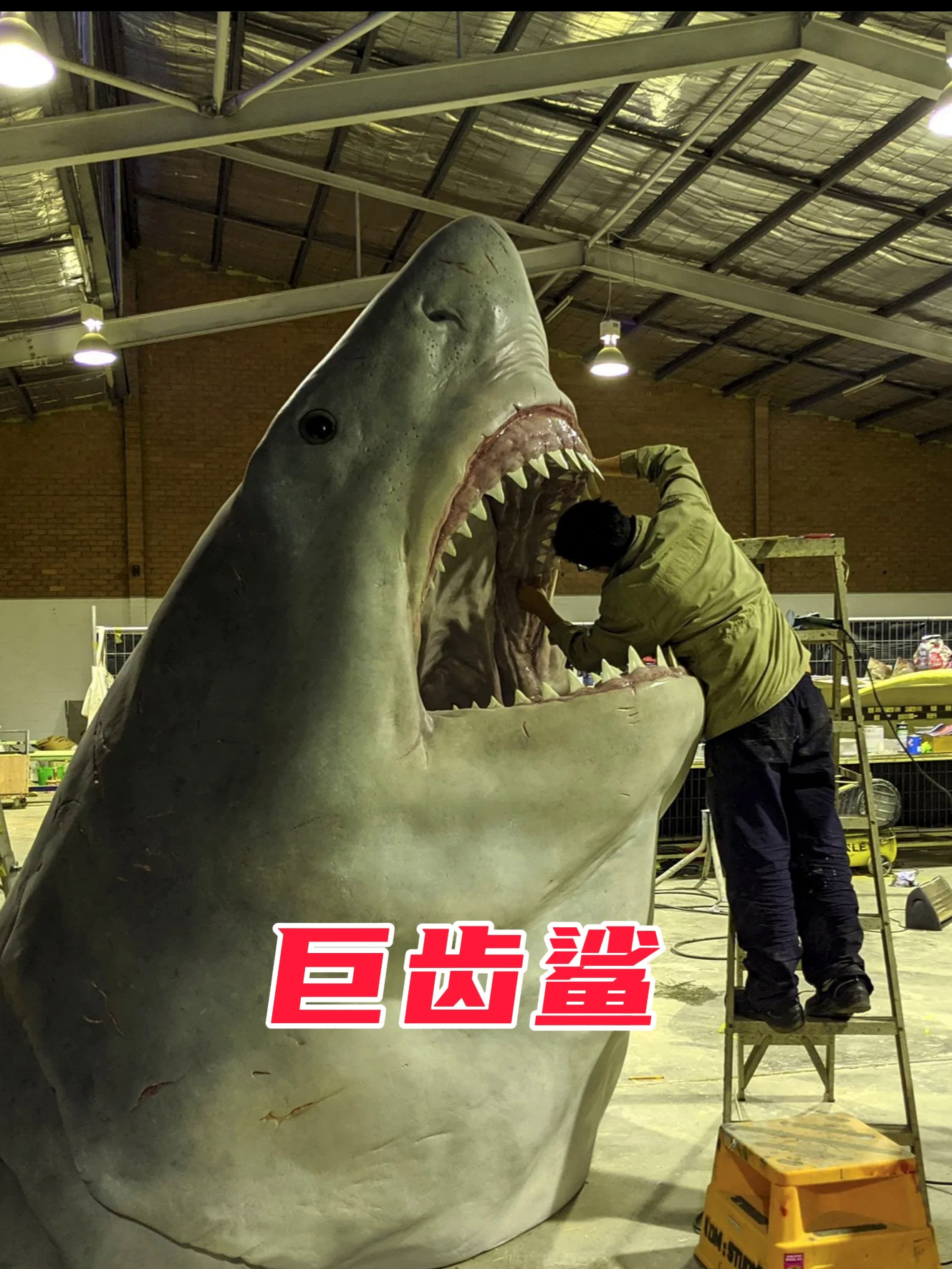史前海洋霸主巨齿鲨到底有多恐怖,咬合力超强,可以秒杀霸王龙