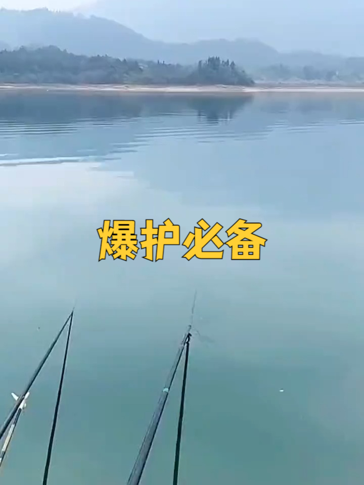 黄尾鲴鱼见了疯抢!这款饵料下竿就狂拉,半小时钓满护!