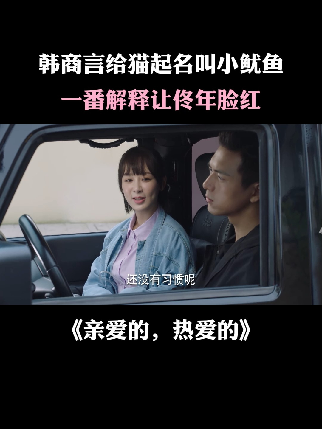 亲爱的热爱的:韩商言给猫起名叫小鱿鱼,一番解释让佟年脸红