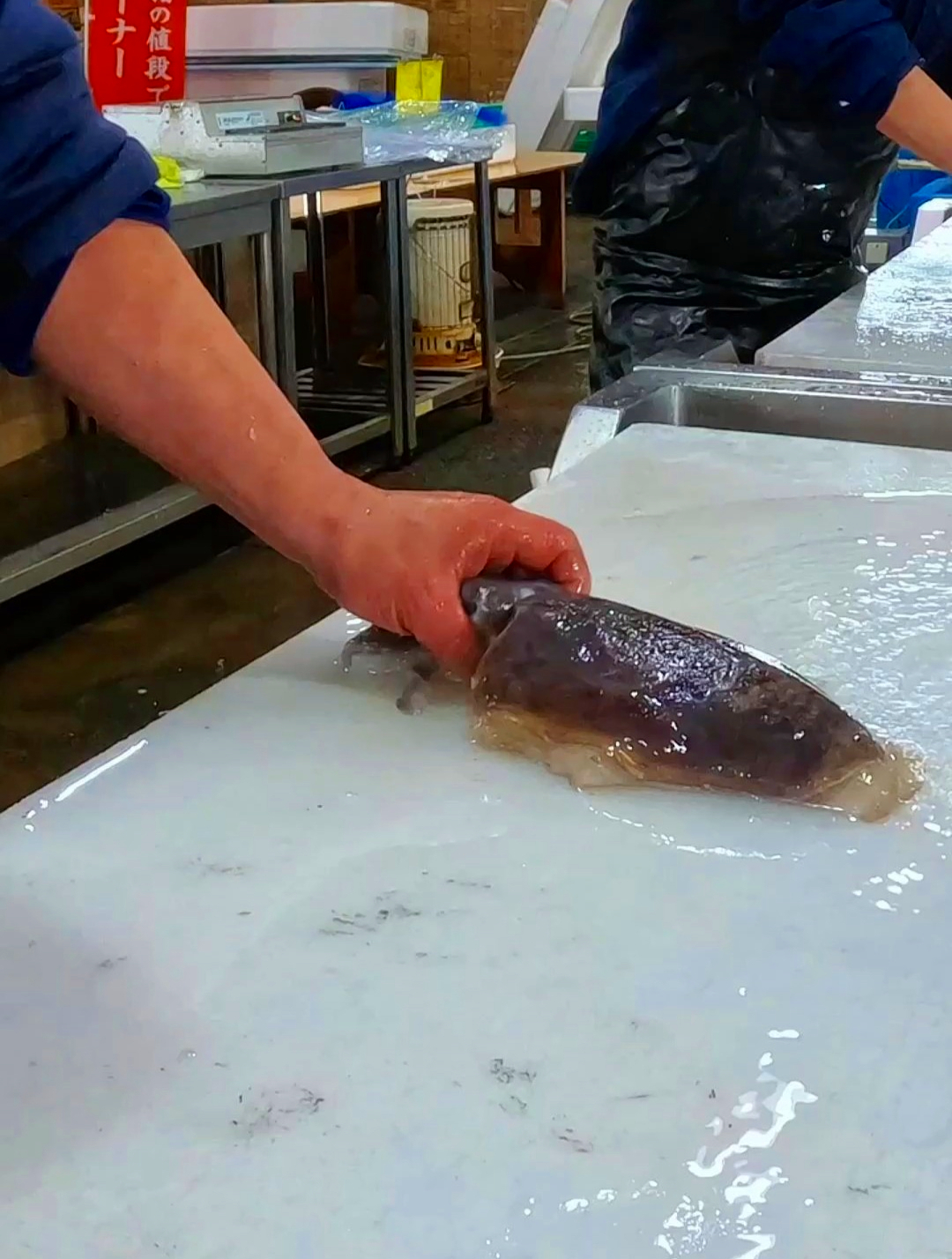 日本人都是如何处理墨鱼的，看起来很丝滑很解压啊，这技术很到位