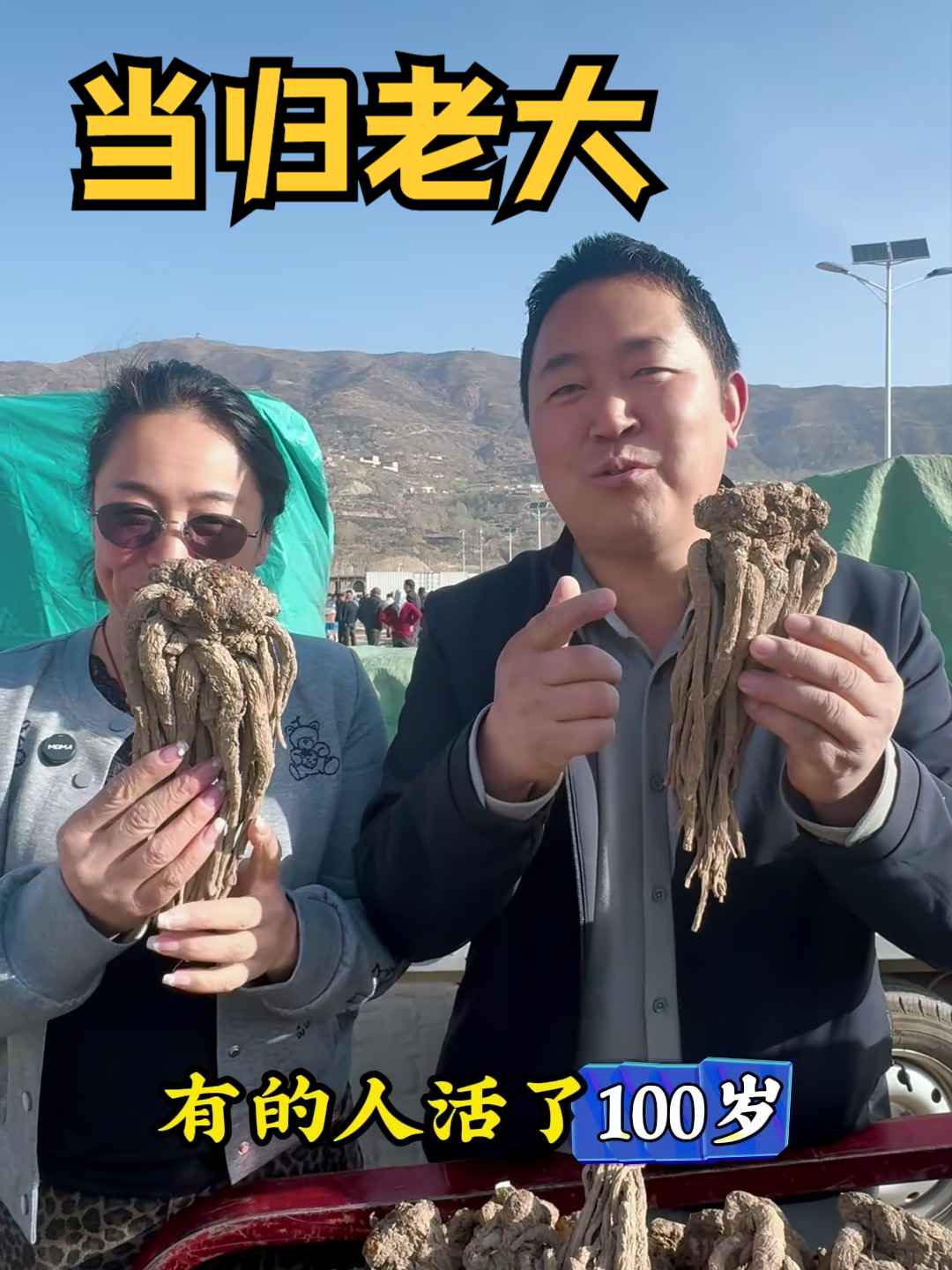 “当归老大”惊现农贸市场,你有没有见过?