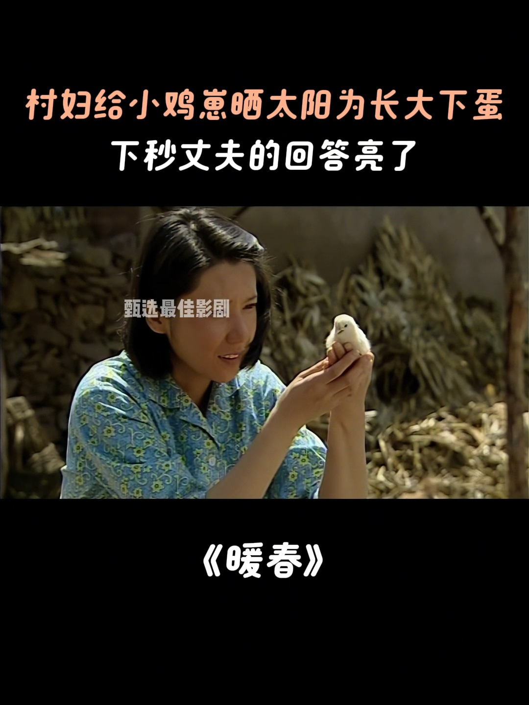 暖春:村妇给小鸡崽晒太阳为长大下蛋,下秒丈夫的回答亮了