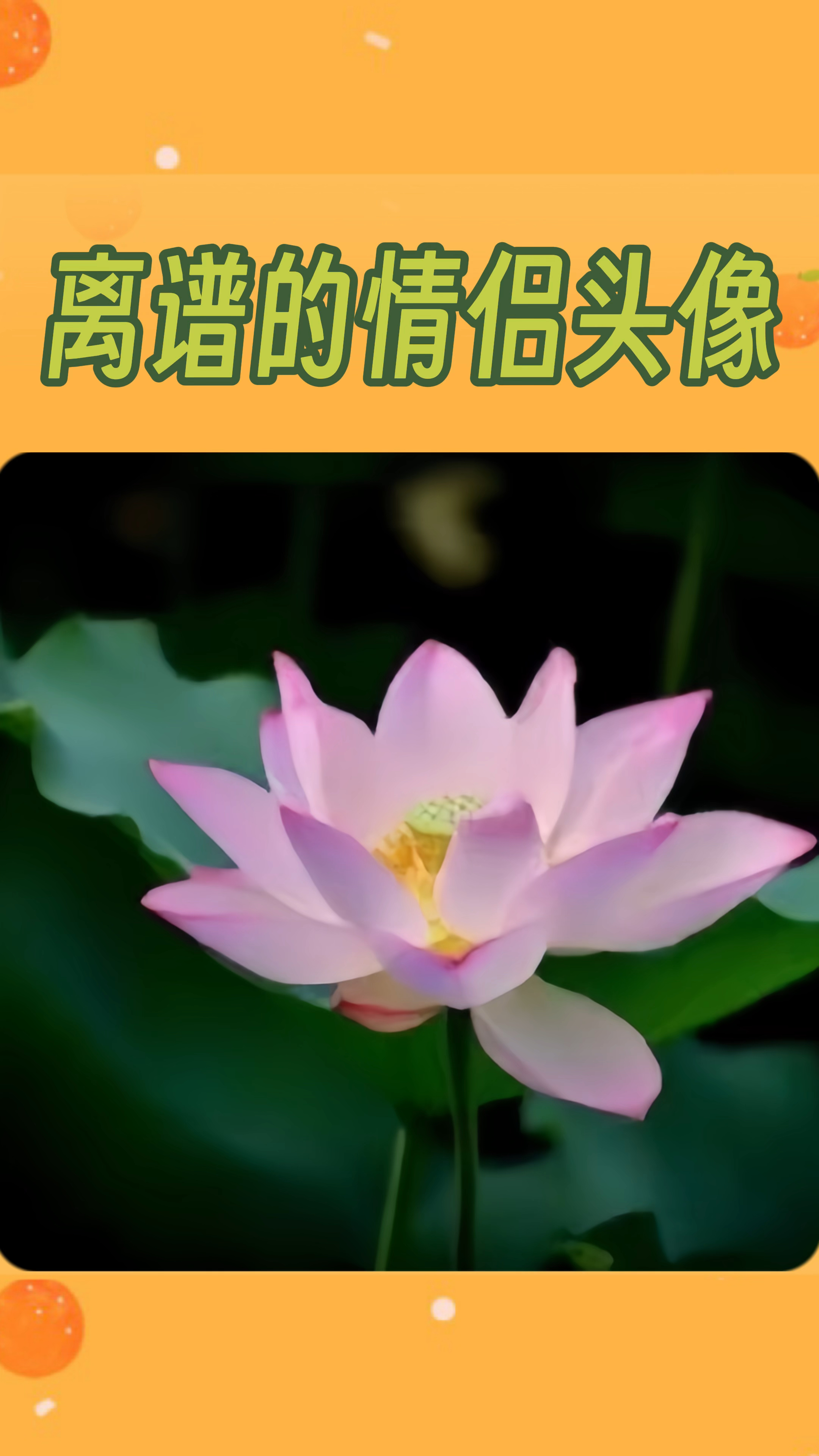 这届年轻人的情侣头像能有多离谱 #搞怪头像 #娱乐播报台  #文化人 #超甜头像