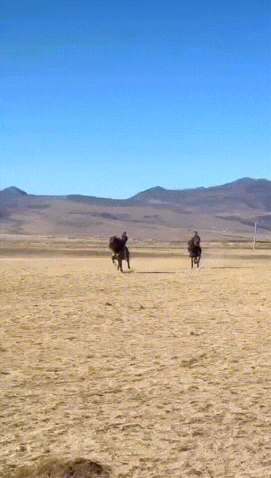 3DM輕松一刻第1461期 大爺做了我想做卻沒敢做的事