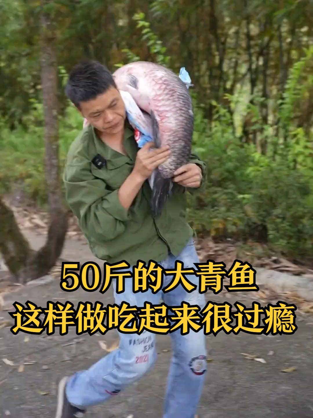 50斤的大青鱼，这样做吃起来真的很过瘾