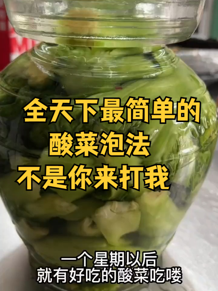 全天下最简单的酸菜泡法不是你来打我