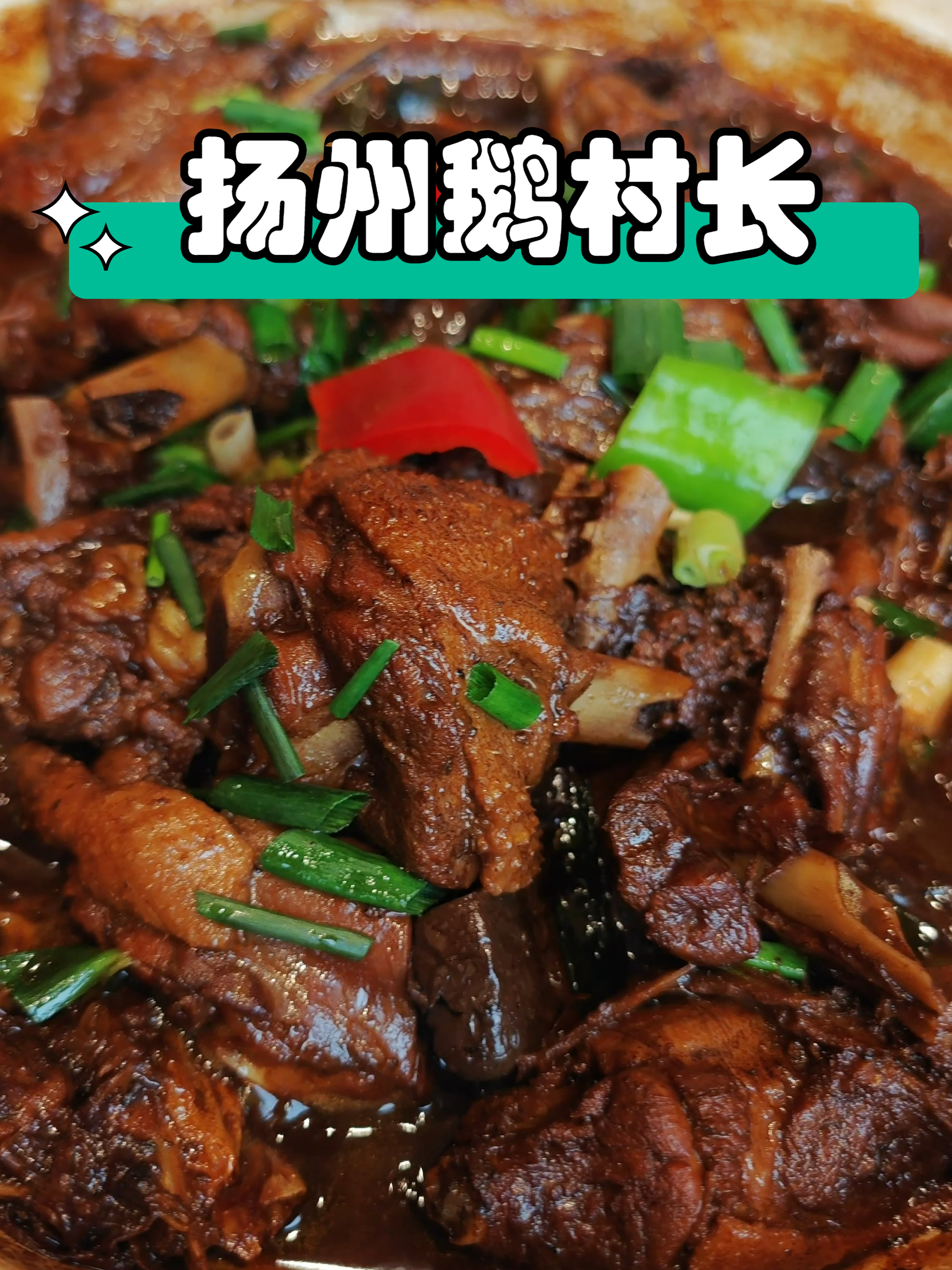 扬州邵伯古镇鹅村长,红烧老鹅味道鲜美,比邵伯龙虾好吃太多了