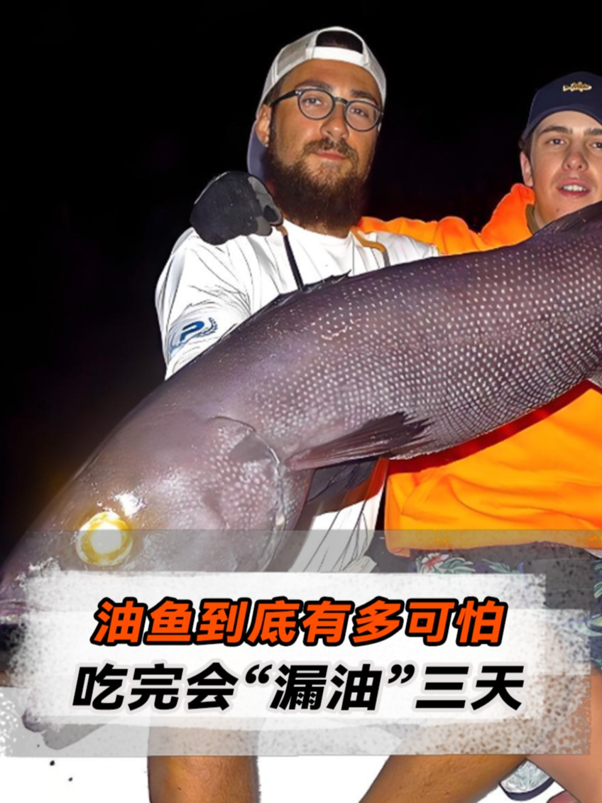油鱼到底有多可怕?吃完真会让人“漏油”三天吗?涨知识了!