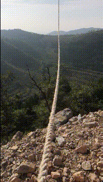 3DM轻松一刻第1469期 想给健身增加难度就养只猫
