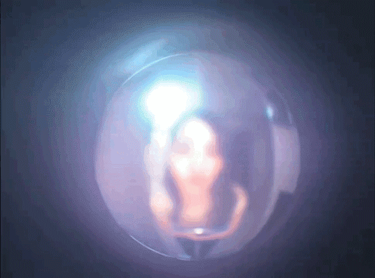 周一內(nèi)涵囧圖云飛系列 美女為何在自己家還戴口罩