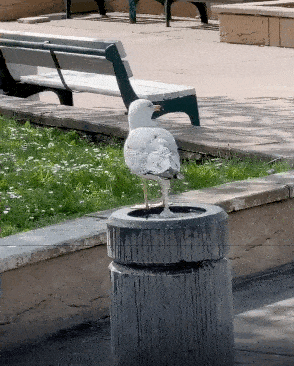 һںͼƷϵ ŮΪԼһ