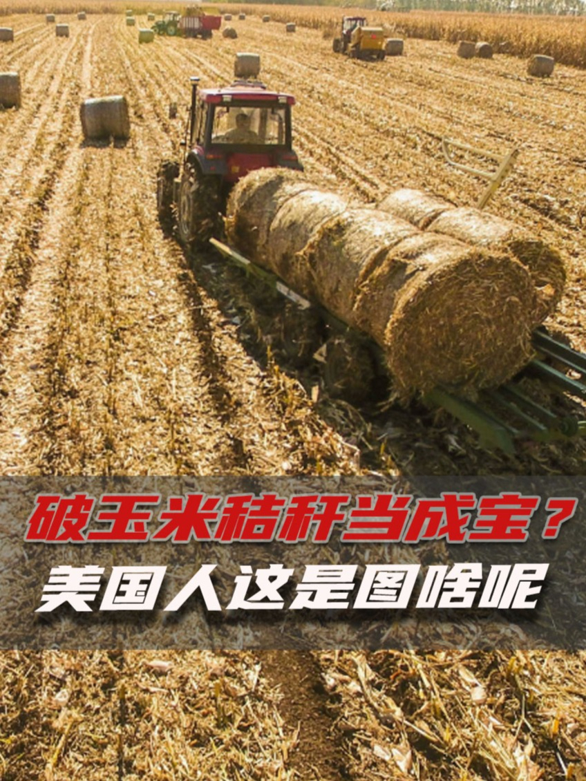 烤鸡卖不完就扔掉,破玉米秸秆却当成宝,美国人这是图啥呢?