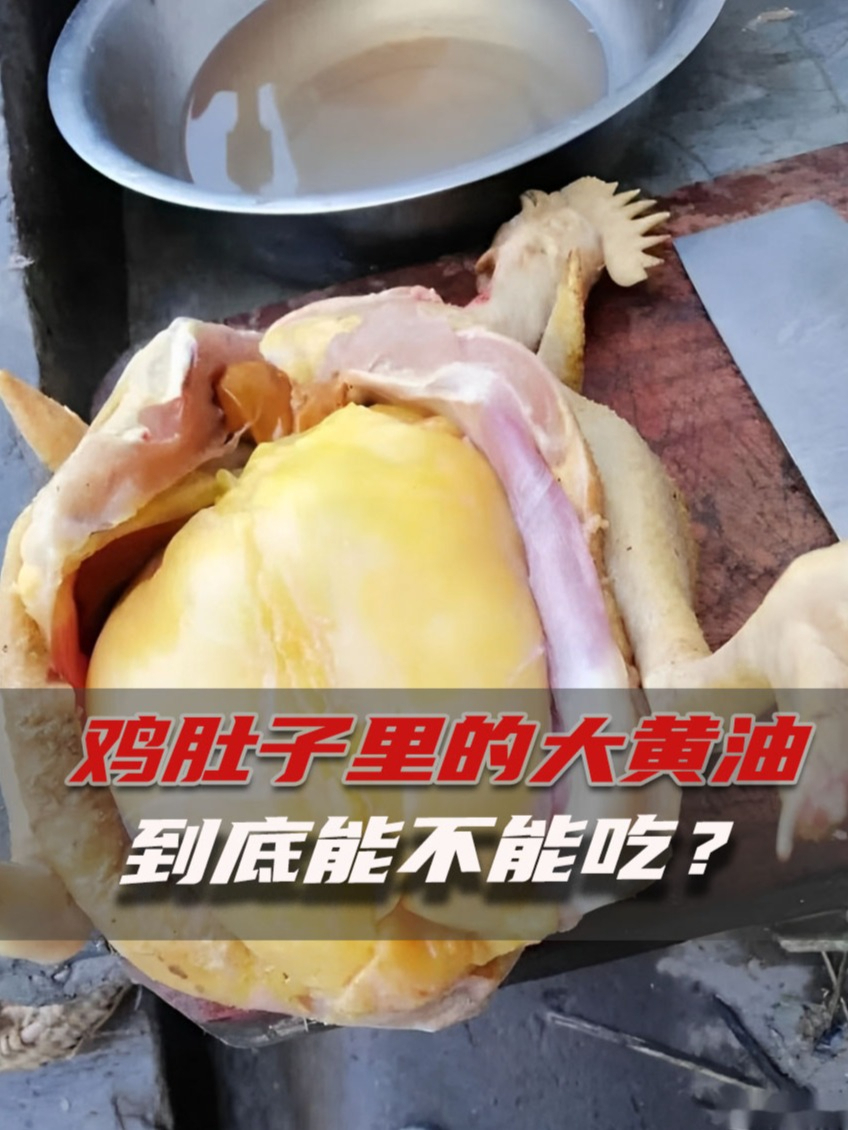 鸡肚子里肥腻的大黄油,到底能不能吃呢?为啥长辈说这是宝贝?