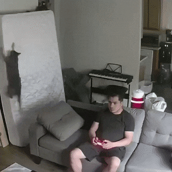 3DMһ̵1474 ûΣʱְ־Σ