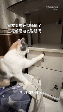 周五福利囧图云飞系列 人长得好看穿什么也好看！