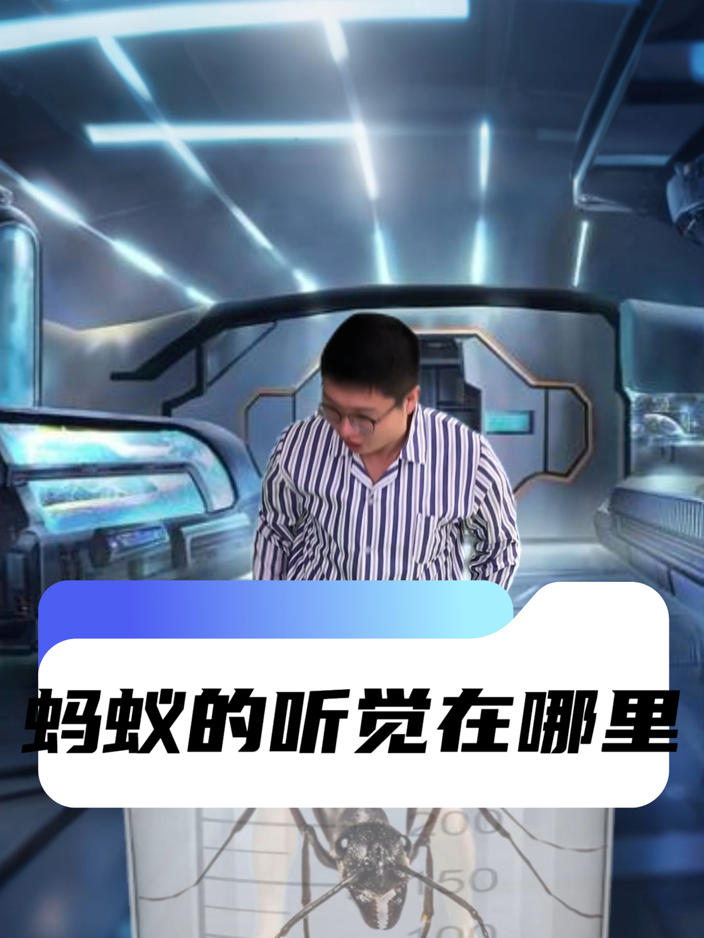 蚂蚁的听觉在哪里