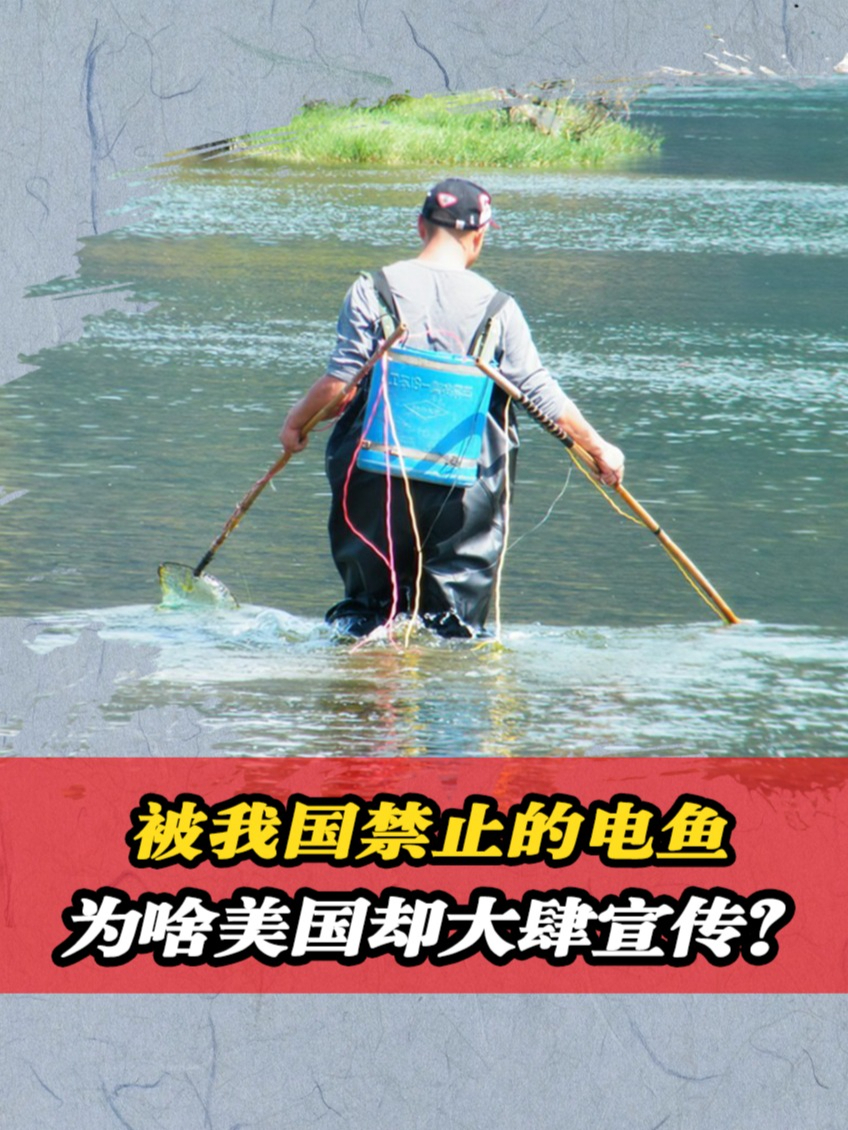 被我国禁止的电鱼,为啥美国却大肆宣传?电鱼的危害有多大?