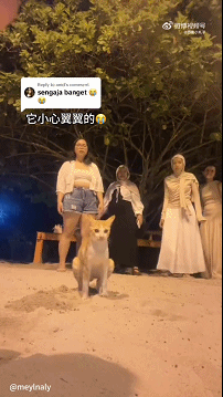 周五福利囧圖云飛系列 人長(zhǎng)得好看穿什么也好看！